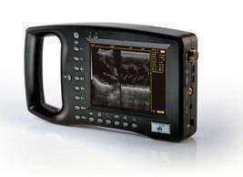 
                  
                    WED-3100 Demo Ultrasound
                  
                