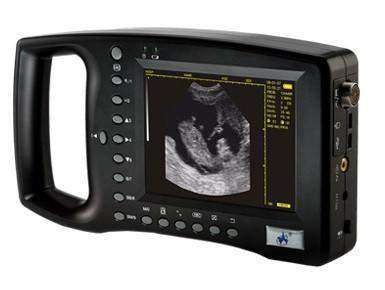 WED-3100 Demo Ultrasound