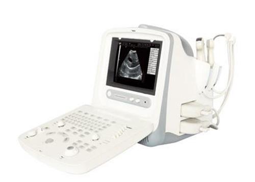 
                  
                    Chison 8300V Demo Model
                  
                