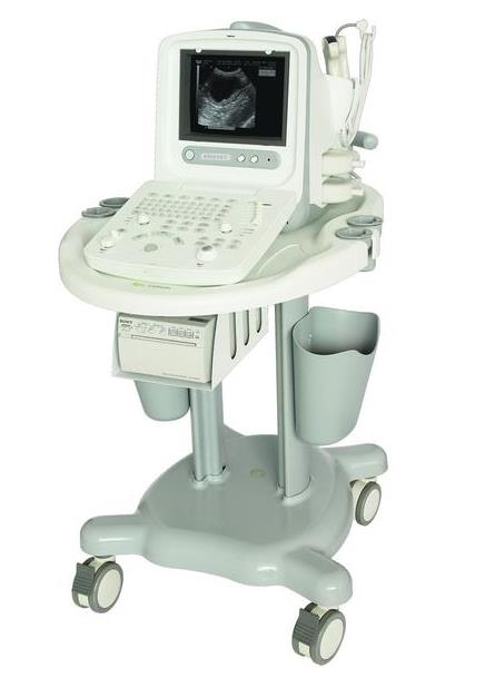 
                  
                    Chison 8300V Demo Model
                  
                