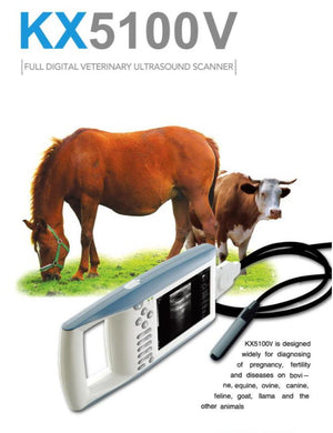 
                  
                    KX5100V and Rectal Arm
                  
                