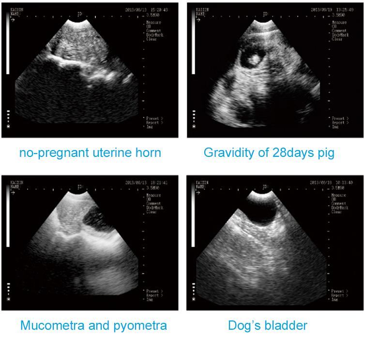 
                  
                    Lightweight Full Digital Mechanical Sector Ultrasound Scanner
                  
                