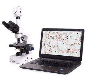 
                  
                    Canine Portable Semen Analyzer
                  
                