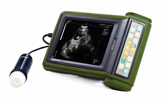 Veterinary Ultrasound MSU-2 For Pigs, Sheep, Goats with Sector Probe