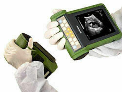 
                  
                    Veterinary Ultrasound MSU-2 For Pigs, Sheep, Goats with Sector Probe
                  
                