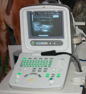 
                  
                    Best Deal Veterinary Ultrasound, Chison 8300Vet, Good Quality, Most Affordable
                  
                