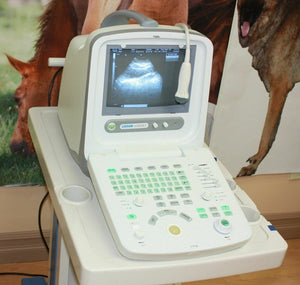 
                  
                    Best Deal Veterinary Ultrasound, Chison 8300Vet, Good Quality, Most Affordable
                  
                