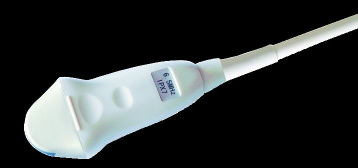 
                  
                    Mindray 65C15EAV Ultrasound Veterinary Small Animals Micro Convex Probe
                  
                