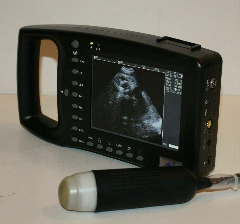 WED-2000AV Sector Probe Veterinary Ultrasound for Goats, Pigs and Sheep