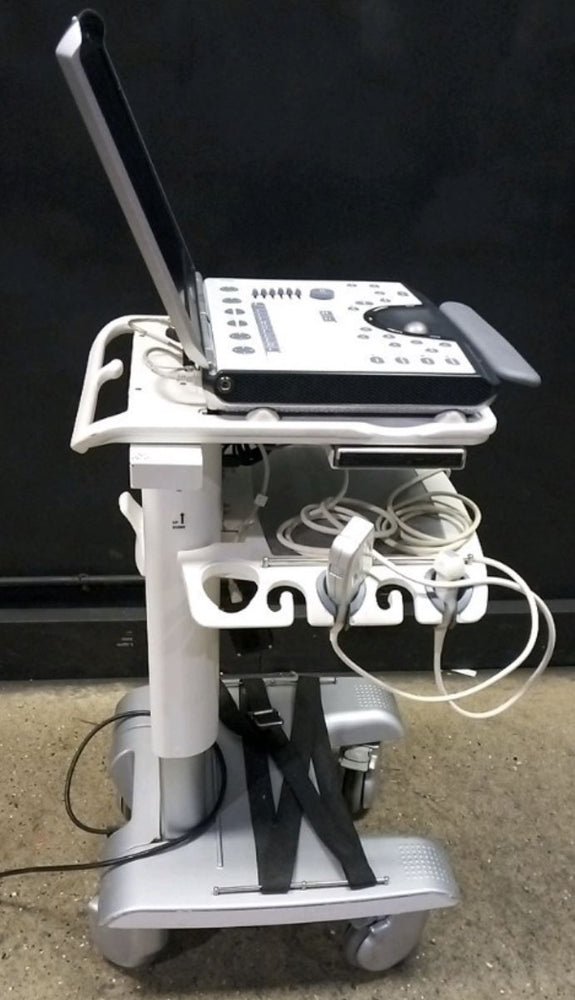 
                  
                    GE VIVID Q PORTABLE ULTRASOUND MACHINE WITH 1 PROBE (6TC RS) 2014
                  
                