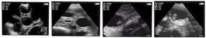 
                  
                    OviSonoSui 30Vet Handheld Ultrasound for Farm Animals
                  
                