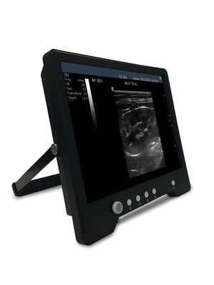 
                  
                    Veterinary Sheep, Goats, Pigs, Touch Screen Ultrasound & Convex Probe | KeeboMed
                  
                