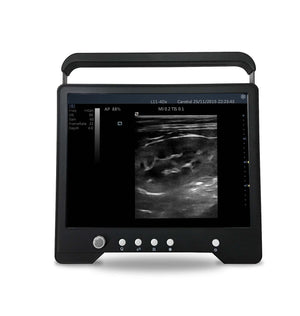 
                  
                    Veterinary Sheep, Goats, Pigs, Touch Screen Ultrasound & Convex Probe | KeeboMed
                  
                