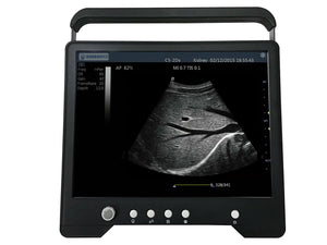 
                  
                    Veterinary Sheep, Goats, Pigs, Touch Screen Ultrasound & Convex Probe | KeeboMed
                  
                