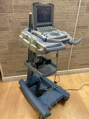 
                  
                    SONOSITE TITAN PORTABLE ULTRASOUND MACHINE WITH 1 PROBE (C60)
                  
                