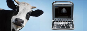 
                  
                    Con Batería Bovino, Equino, Veterinario Portátil Ultrasonidos Máquina, ECO1Vet
                  
                