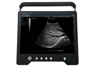 
                  
                    Veterinary Large & Small Animal Touch Screen Ultrasound with 4 Probes KeeboMed
                  
                