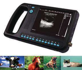
                  
                    almheld veterinary animal ultrasound scanner WED-3000Vet
                  
                