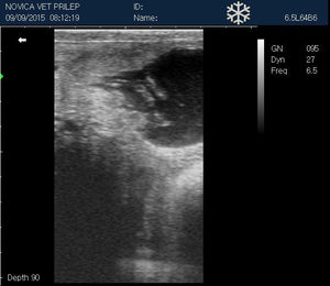 
                  
                    Veterinary Small Animal Ultrasound Scanner, Micro-Convex Probe 5-8Mhz USA seller
                  
                