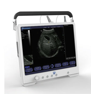 
                  
                    Quality Equine/Bovine Ultrasound Machine&Rectal Probe-Touchscreen -Keebomed
                  
                