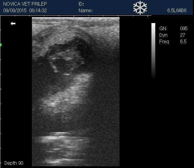
                  
                    Veterinary Small Animal Ultrasound Scanner, Micro-Convex Probe 5-8Mhz USA seller
                  
                