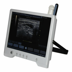 
                  
                    Quality Equine/Bovine Ultrasound Machine&Rectal Probe-Touchscreen -Keebomed
                  
                