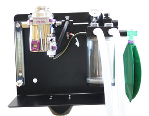 
                  
                    Veterinary Small Animal Anesthesia Machine&isoflurane Vaporizer TEC 3 -Keebomed
                  
                