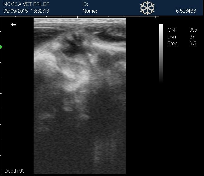 
                  
                    Veterinary Small Animal Ultrasound Scanner, Micro-Convex Probe 5-8Mhz USA seller
                  
                