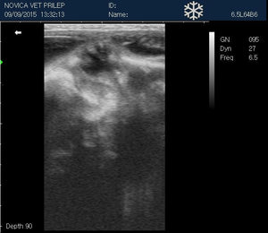 
                  
                    Veterinary Small Animal Ultrasound Scanner, Micro-Convex Probe 5-8Mhz USA seller
                  
                