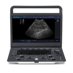 
                  
                    SonoScape A6V Expert (E1V) Veterinary Ultrasound and 4-13MHz Micro-Convex Probe
                  
                