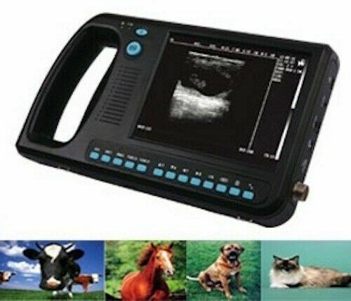 
                  
                    WED-3000 Veterinary Ultrasound Scanner with Rectal Probe - Many Sold in USA
                  
                