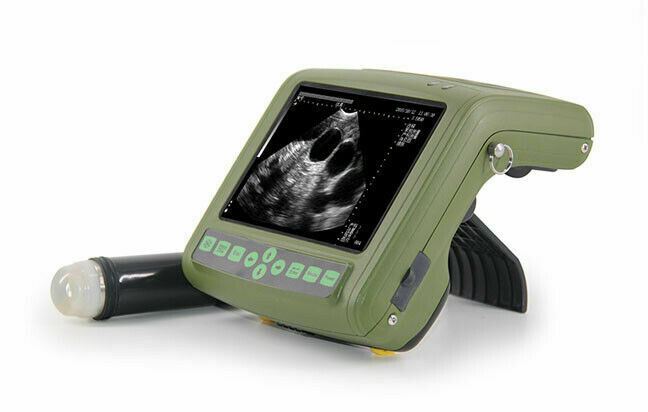 Veterinary Ultrasound MSU1 Plus - For Pigs, Sheep, Goats