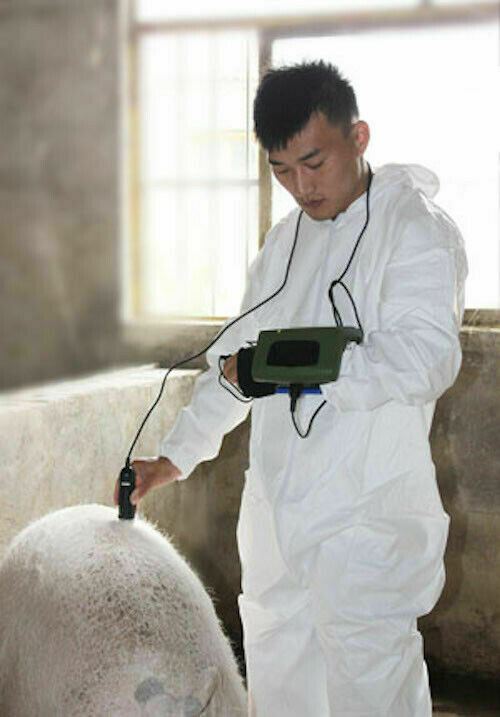 
                  
                    Veterinary Ultrasound MSU1 Plus - For Pigs, Sheep, Goats
                  
                