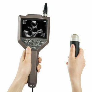 
                  
                    Handheld Veterinary Ultrasound, for Farm Goats, Pigs and Sheep With Sector Probe
                  
                