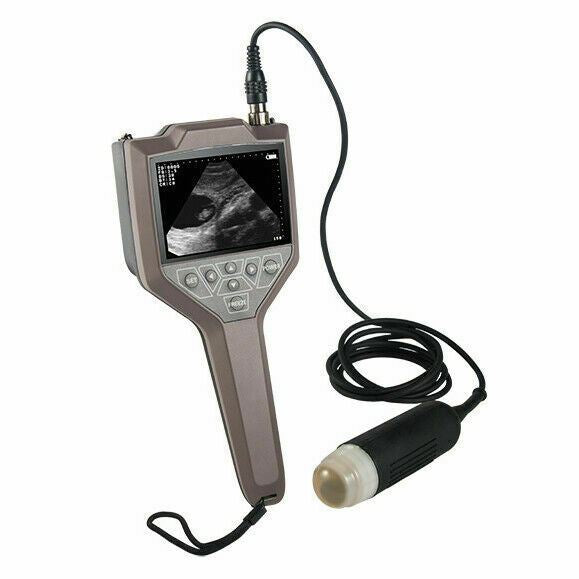 
                  
                    Handheld Veterinary Ultrasound, for Farm Goats, Pigs and Sheep With Sector Probe
                  
                