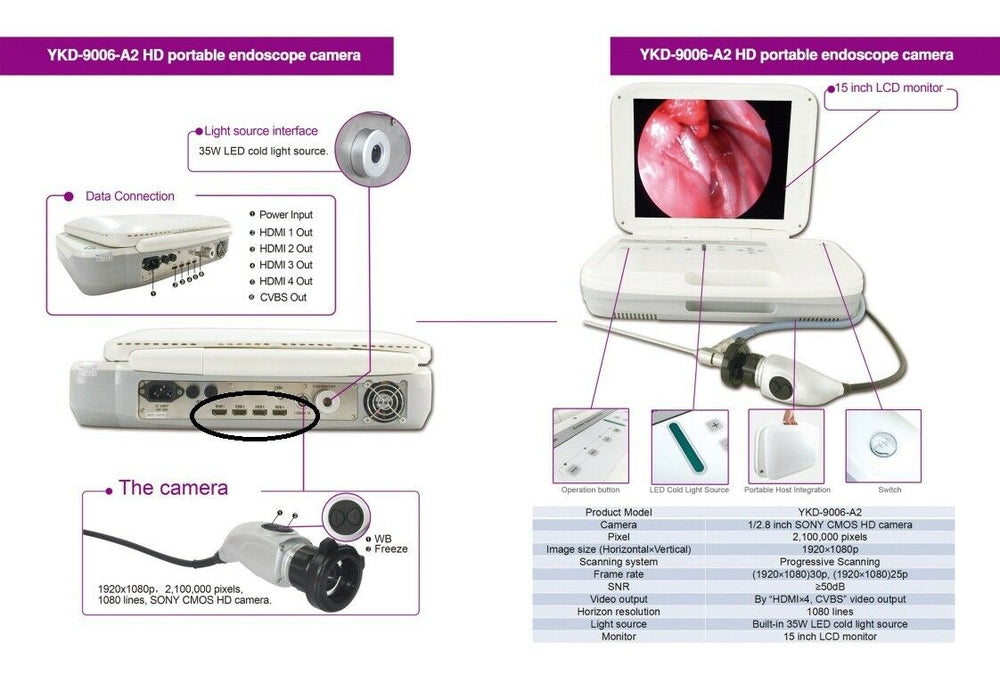 
                  
                    Quality Veterinary Endoscopes for all kind of animals
                  
                