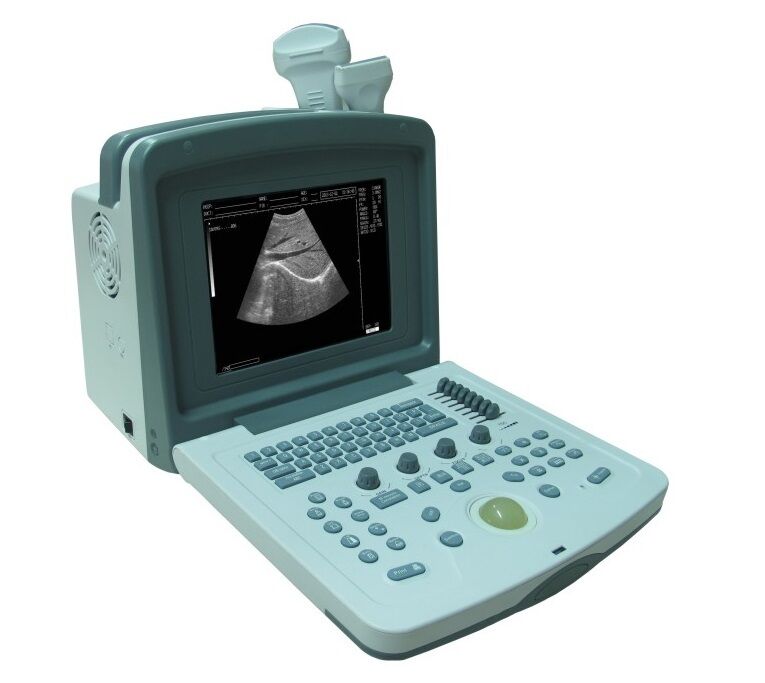 
                  
                    Welld 380 Veterinary Animal Ultrasound Scanner with Rectal Probe | KeeboMed
                  
                