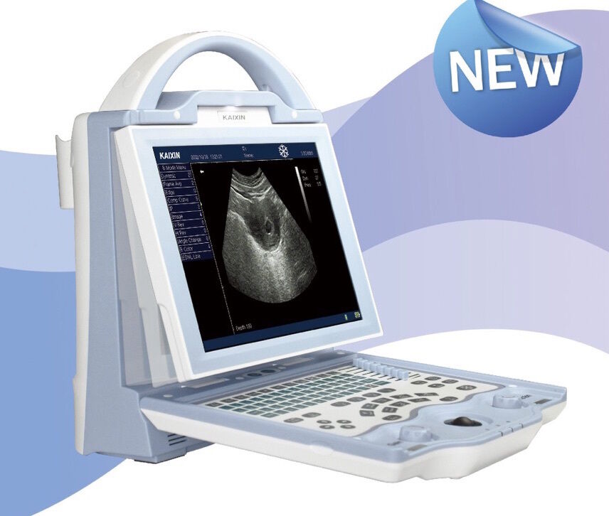 Veterinary Animal Ultrasound Scanner Two Sockets Choice of Probes Clear Images