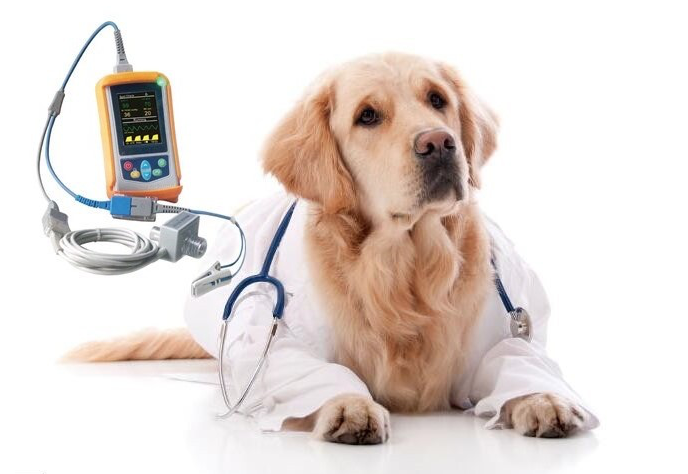 
                  
                    Veterinary Multi Parameter Capnograph Meter with Mainstream CO2
                  
                