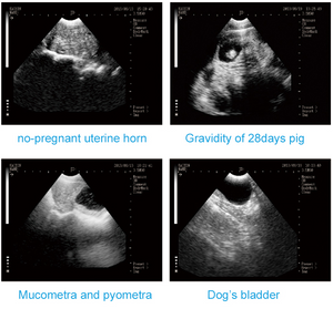 
                  
                    Cow, Sheep, Cat/Dog Pregnancy Test Machine Veterinary Imaging Doppler Ultrasound
                  
                