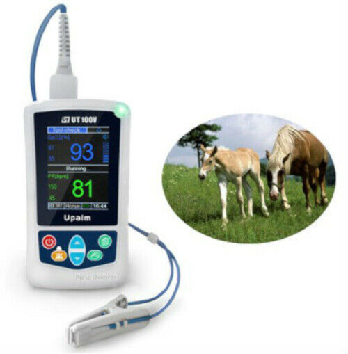 
                  
                    Veterinary Equipment Handheld Pulse Oximeter for Cat/Dog/Horse
                  
                