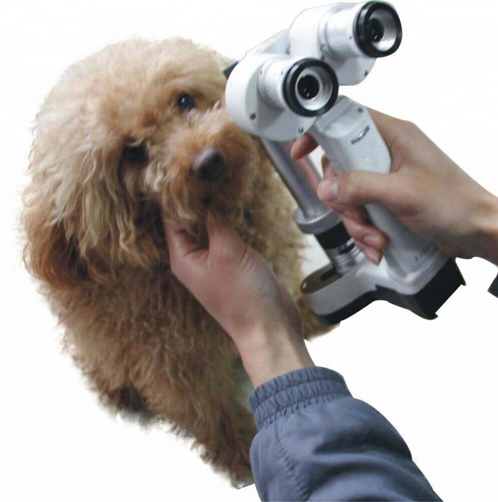
                  
                    Veterinary Handheld Slit Lamp Converging Microscope with Carrying Case, KeeboVet
                  
                