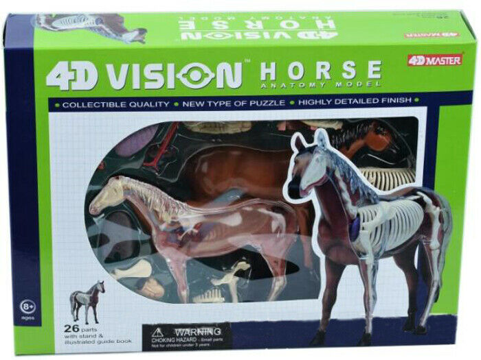 
                  
                    4D Master Horse Anatomy Model Organ Skeleton Veterinary Science Teaching Puzzle
                  
                
