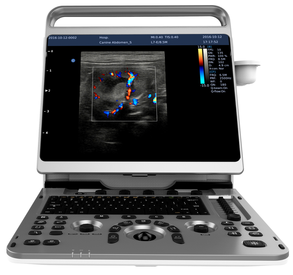 
                  
                    Chison EBit 50, 2D Steer, Super Needle, B/BC, FHI, Battery, Portable, 15" Screen
                  
                