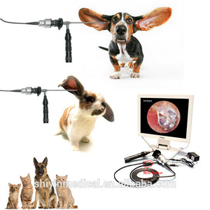 
                  
                    Portable Video Otoscope Veterinary USB ENT Endoscopy Camera, Windows Based
                  
                