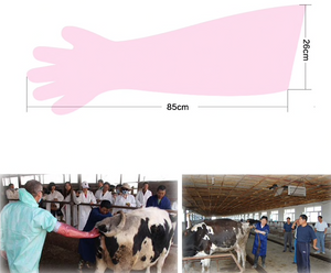 
                  
                    50 Count Long Farm Animal Veterinary Exam Glove Disposable Plastic Semen Gloves
                  
                