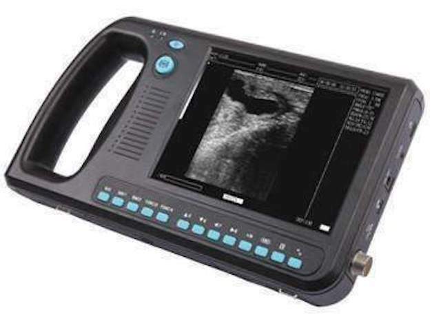 WeD 3000  Veterinary Ultrasound Scanner with Rectal  Probe - Many Sold in USA