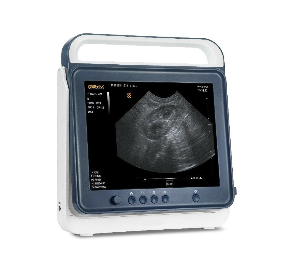 
                  
                    Veterinary 15" Adjustable TouchScreen B/W Portable Ultrasound Scanner System
                  
                