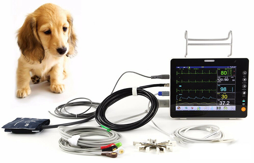 
                  
                    KM50 8.4" Color LCD Professional Veterinary Multi-Parameter Patient Monitor
                  
                