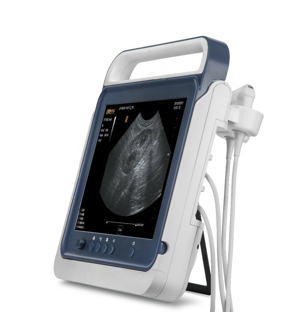 
                  
                    Veterinary 15" Adjustable TouchScreen B/W Portable Ultrasound Scanner System
                  
                